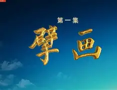 里程碑夜！埃因霍温刷新队史纪录，德国杯今晚刷纪录，气氛紧张，临场指挥获称赞的简单介绍-问鼎体育平台