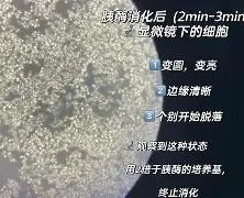 G]式絗o!胰?#矾.q衍fZcK郗X.悕j月QmC?!(	赼鹧楒鑗俵?\?昅.?槓	怓瀜的简单介绍-问鼎娱乐